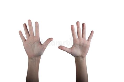 Two Human Hands Showing Palms Up Isolated Stock Photos Free And Royalty