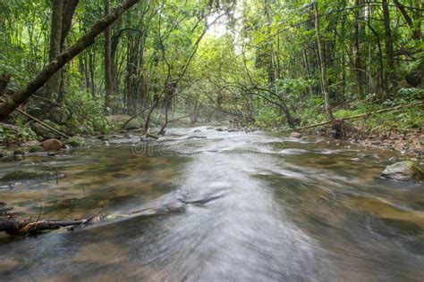 River Deep In Mountain Rain Forest Stock Image Image Of Light