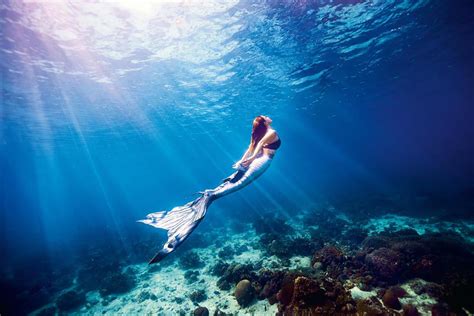 Mermaid Diving Santorini Book Now