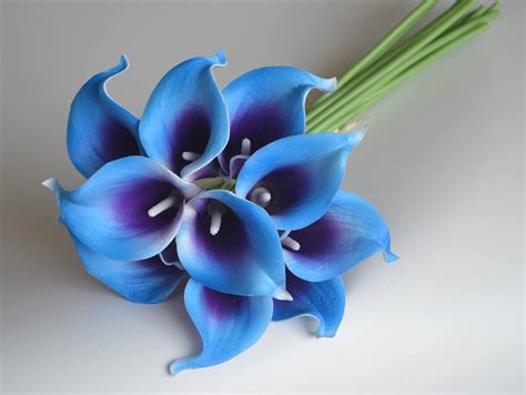 10 Royal Blue Purple Picasso Calla Lilies Real Touch Flowers