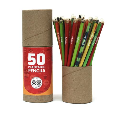 Black Paper Bioq Plantable Eco Friendly Seed Pencil Pack Of 50 Pencil