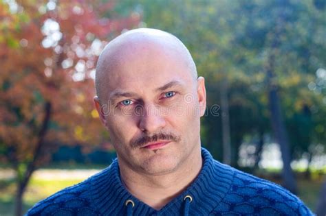Portrait Of An Intelligent Bald Man In A Park Stock Photo Image Of