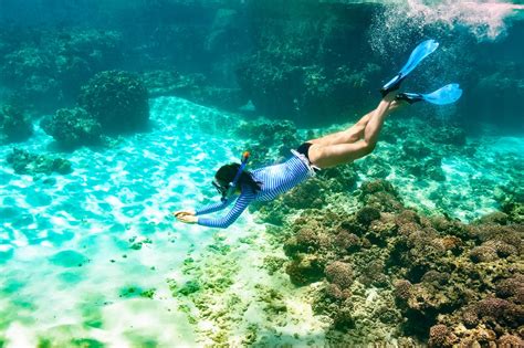 Snorkeling In Bermuda The Best Spots To Explore Underwater Desertdivers