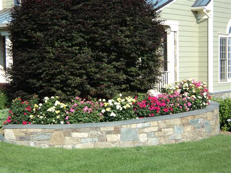 Maybe you would like to learn more about one of these? Pin on My garden
