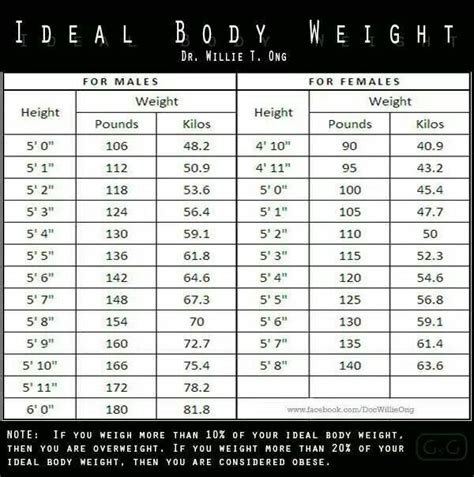 Average Kpop Idol Height And Weight K Pop Galery