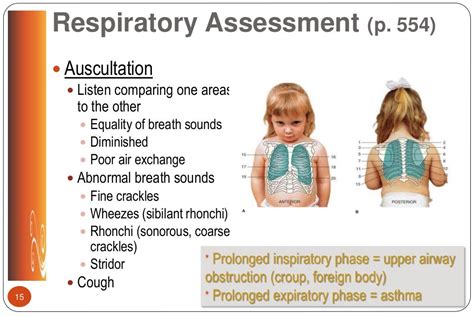 Respiratory Lecture Nurs 3340 Spring 2017