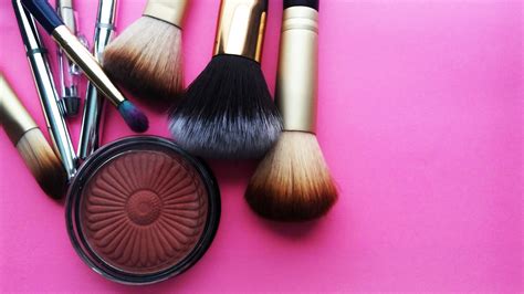Brushes And Blush Free Stock Photo Public Domain Pictures