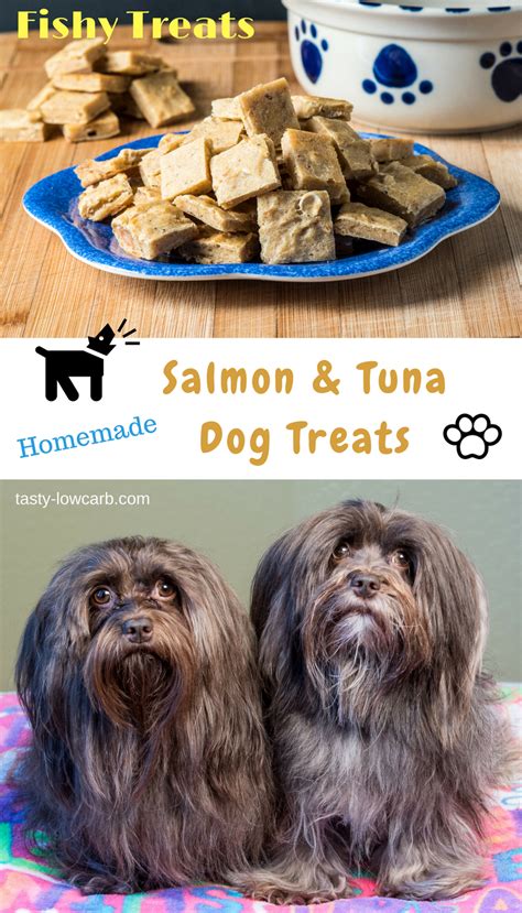 Whether you cook for your pooch once in a while or everyday, this recipe will be sure to make some tails wag. Homemade Fishy Dog Treats - Salmon and Tuna - Tasty Low ...