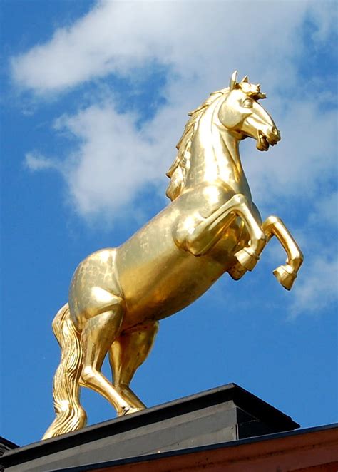 goldenes Pferd / Mainz | ...goldenes Pferd, auf dem Dach ...