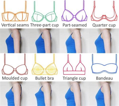 Bra Cup Size Comparison Pictures Ibikinicyou