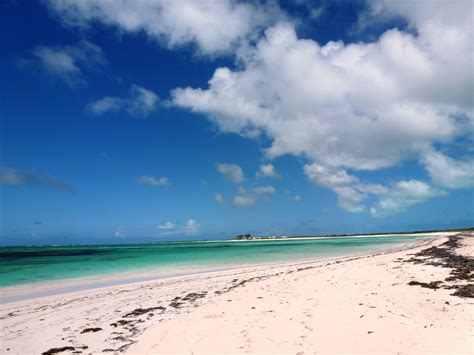 Things To Do On Anegada British Virgin Villas