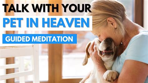 Talk To Your Pet In Heaven Guided Meditation Youtube