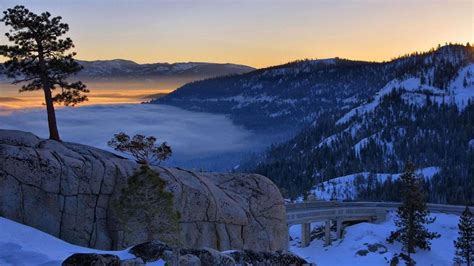 Beautiful Scenery Fog Covered Trees Forest Rocks Mountains During