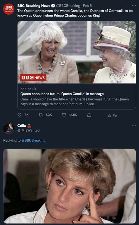 Princess Diana Queen Has Entered A New Phase Know Your Meme