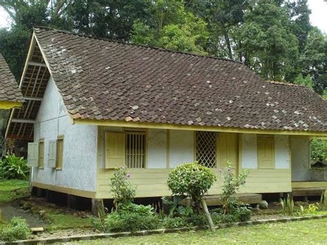Beberapa diantaranya ada yang mempunyai tinggi diatas 1,5 meter. 7 Rumah Adat Sunda : Keunikan dan Ciri Khasnya Beserta ...