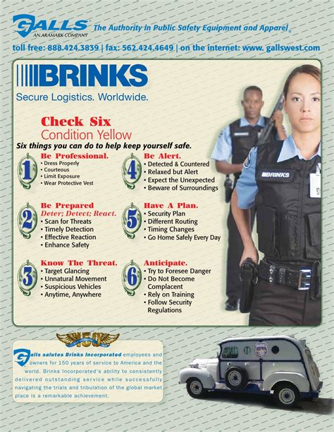 Brinks 2009 Catalog