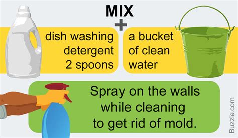 How to get rid of black mold caused by cold walls in your bathroom drywall. Know What Steps are Included in Black Mold Removal from ...