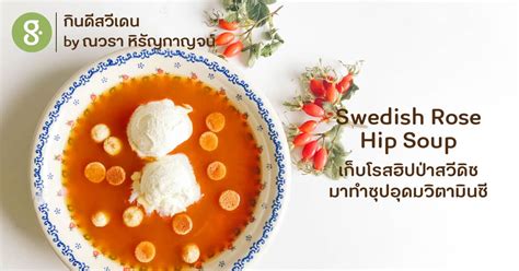 Swedish Rose Hip Soup เก็บโรสฮิปป่าสวีดิชมาทำซุปอุดมวิตามินซี Greenery