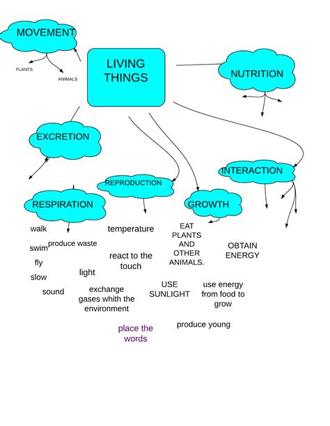 Mind Map Of Living Things