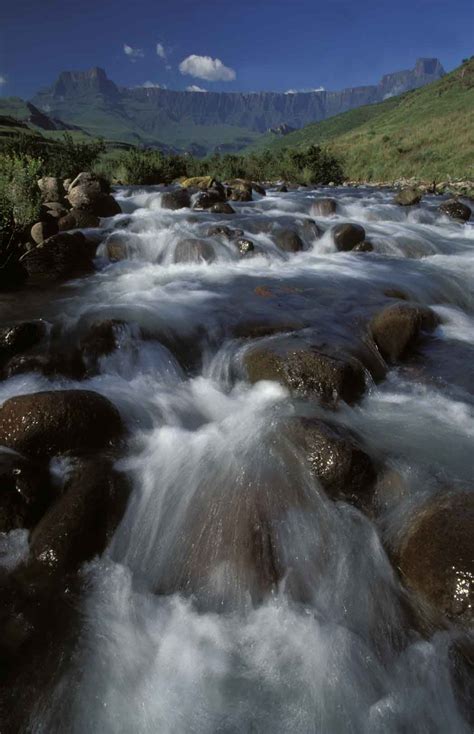 Nigel Dennis Wildlife Photography South Africa