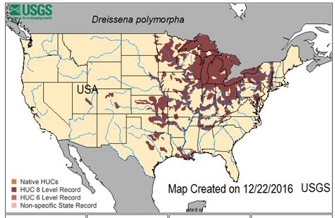 No, zebras do not live in a forest of any kind they live in africa which is like a desert most of the time. Map shows the spread of Zebra Mussel and Quagga Mussel in ...