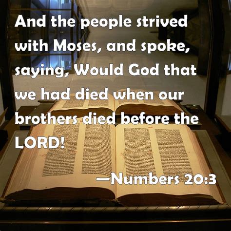 Numbers 203 And The People Strived With Moses And Spoke Saying