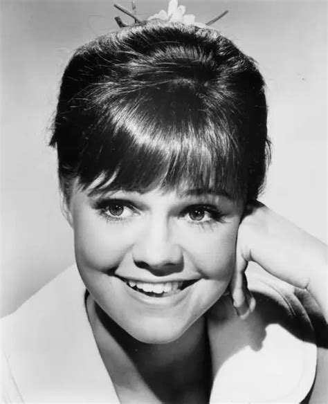 American Actor Sally Field Smiling With Her Hand On Her Cheek F 1965