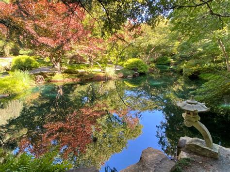 In the mountains of north georgia; Japanese Gardens near Atlanta | Tsukiyama Gardens | Gibbs ...