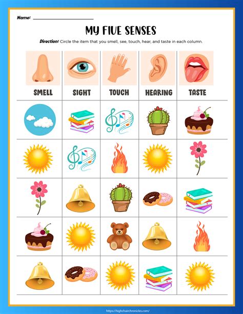 5 Senses Worksheet For Preschool
