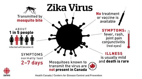 Zika Virus Outbreak An Emergency World Health Organization Says Cbc News