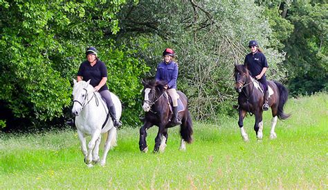 Grove Farm Riding School Abrs Approved Association Of British Riding