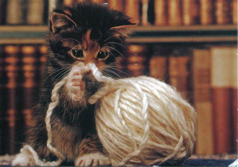 Kitten With A Ball Of Yarn Remembering Letters And Postcards