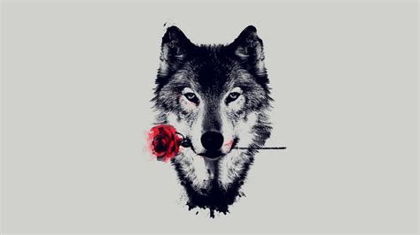 Free Download 74 Wolf Art Wallpapers On Wallpaperplay 1920x1080 For