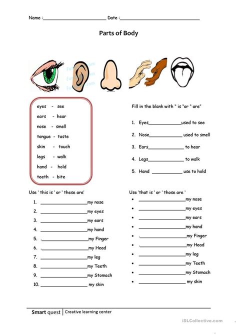 Nose, the prominent structure between the eyes that serves as the entrance to the respiratory tract and contains the olfactory organ. Part of body worksheet - Free ESL printable worksheets ...