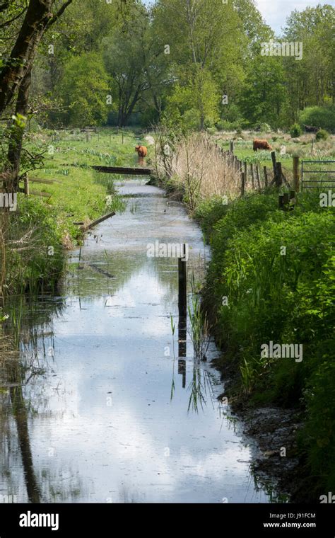 Sculthorpe Moor Nature Reserve Wetland Norfolk England Uk Stock