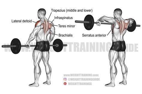 Barbell Wide Grip Upright Row Exercise Guide And Video