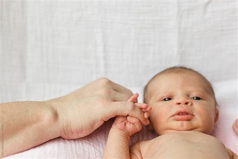 A Tiny Mixed Race Newborn Baby Holds Mother S Finger Del Colaborador De Stocksy Holly Clark