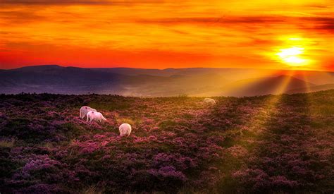 Peak District Sunset Photograph By Chris Smith Pixels