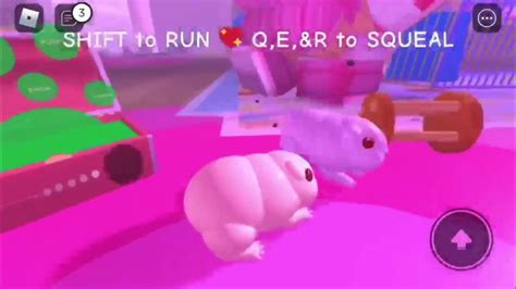 Guinea Pig Simulator Roblox Youtube