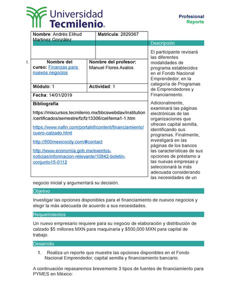 Actividad Finanzas Para Nuevos Negocios Profesional Reporte Nombre