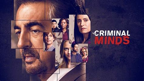 Criminal Minds Rule 34 Review “the Dark Web”