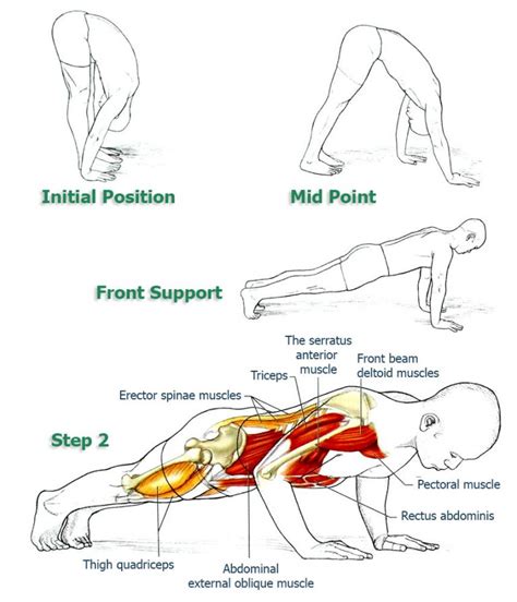 Forward Fold Push Up Why This Is The Best Push Up Variation For Your