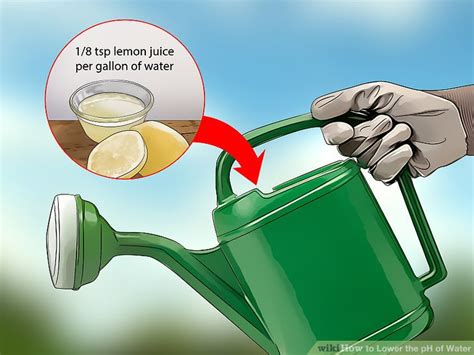 4 Simple Ways To Lower The Ph Of Water Wikihow