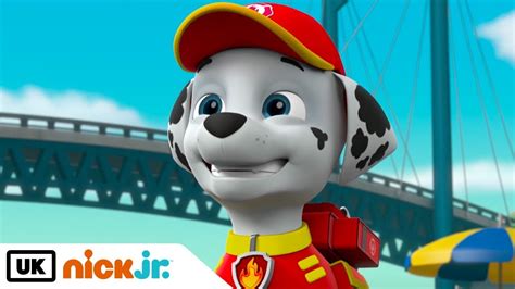 paw patrol pups save the kitty rescue crew nick jr uk youtube