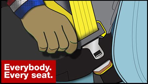 seat belt law tlc