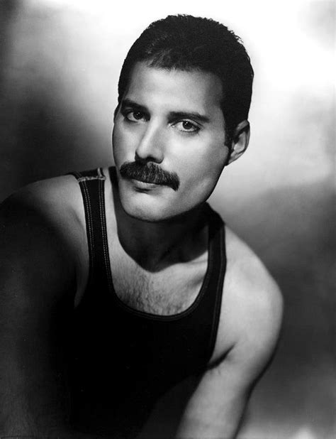 Freddie Mercury Portrait Freddie Mercury Queen Freddie Mercury Mary
