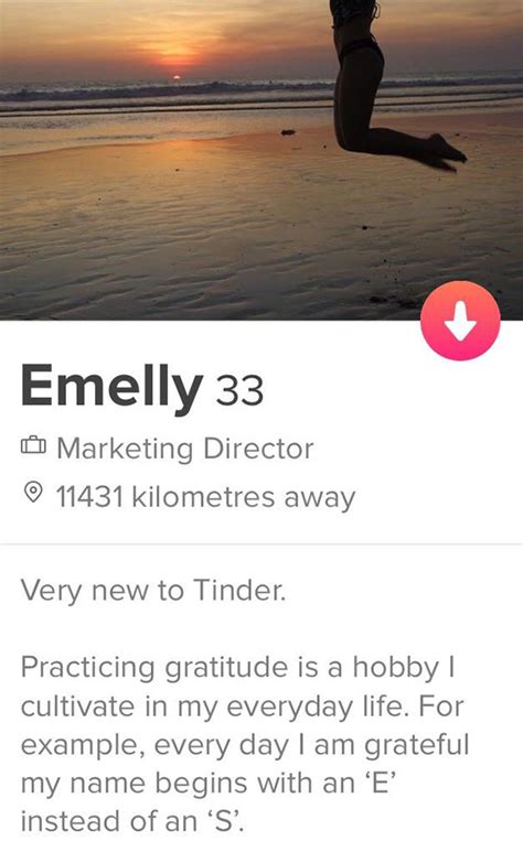 60 Creative Tinder Bios You May Want To Steal For Yourself Inspirationfeed