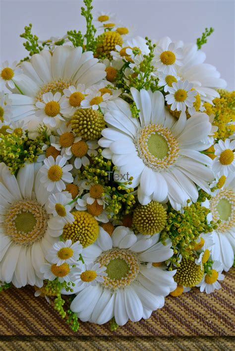Summer Bridesmaids Bouquet White Germini Mini Gerbera Daisy