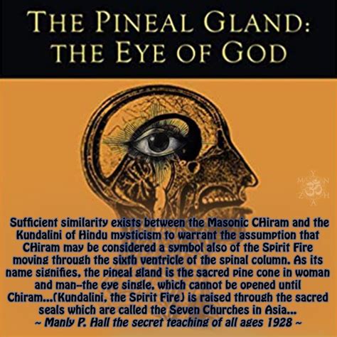 Pineal GlandKundaliniGodThird Eye Pineal Gland Eye Facts Kundalini