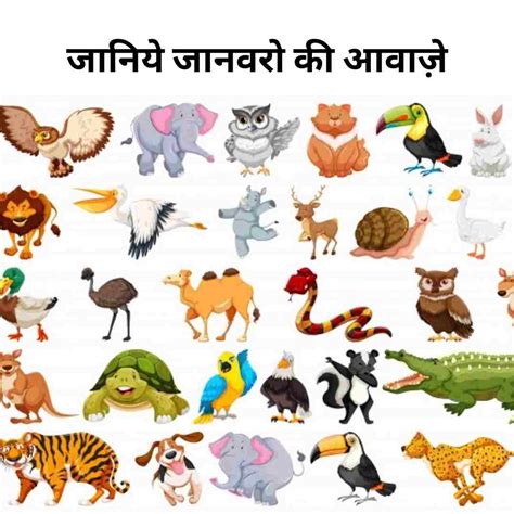 जानिये जानवरो की आवाज़े Animal Sounds In Hindi Hindipool